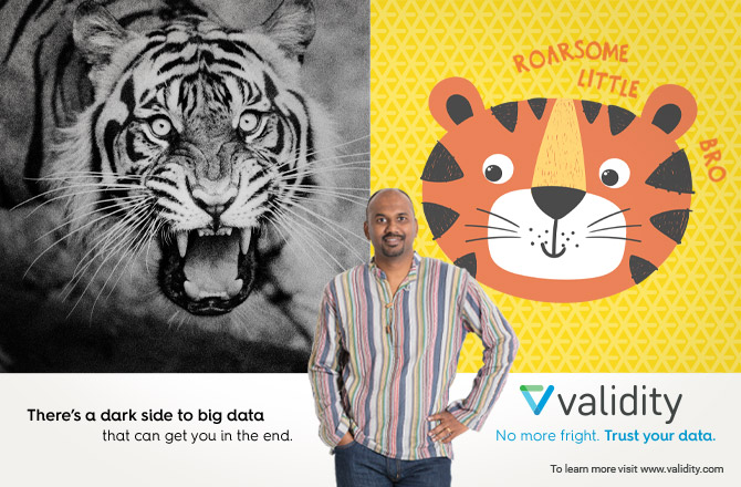 Validity slide2 tiger-new3