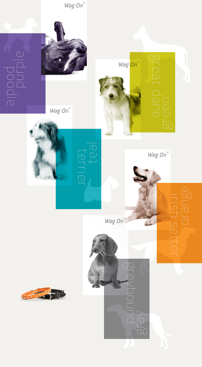 dog-days brand-colors